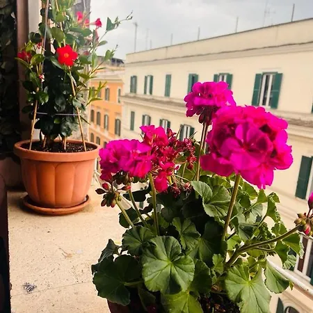 Guest house Hill Town Rome